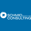 Senior Recovery-berater Schmid Consulting
