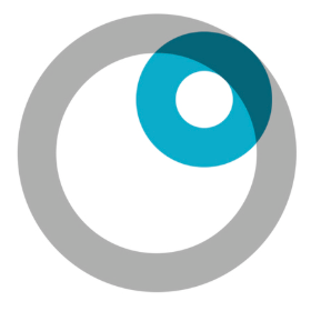 Engagement Lead/director- Tech Due Diligence