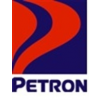 Information Technology Auditor