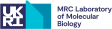 Black Heritage Rising Talent Fellowship — 3-year Postdoc