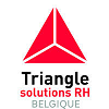 Triangle Solutions