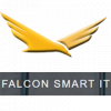 FalconSmartIT