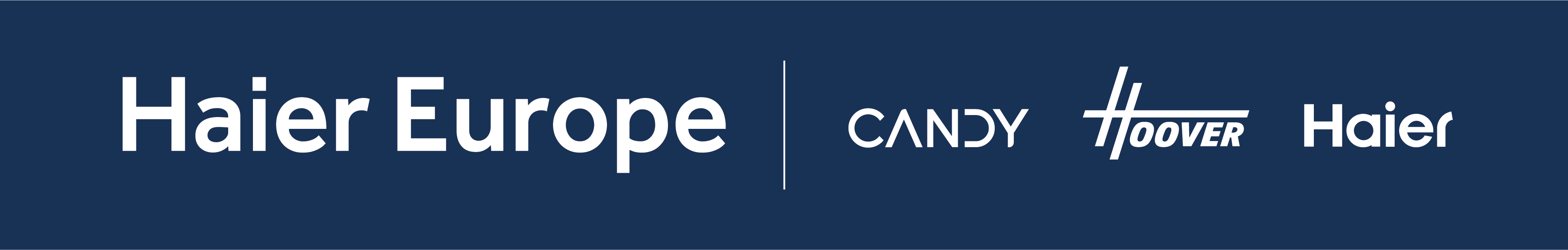 欧洲项目管理负责人