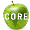 Information Technology Manager