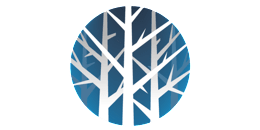 Senior Risk Manager