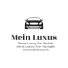 Professionell Reisebus/taxi/limousine/uber Fahrer/in - Chauffeur/euse